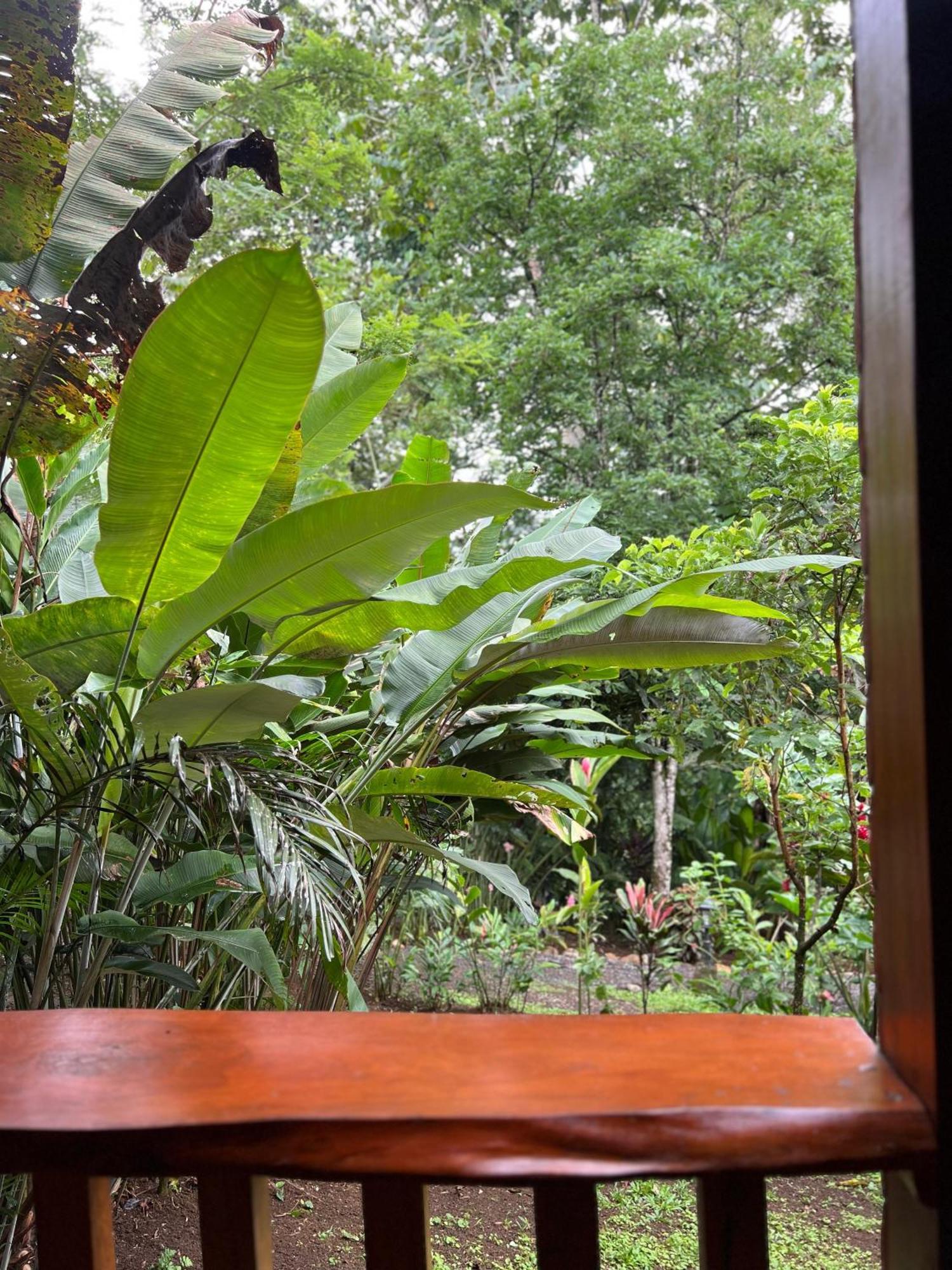 Arenal Rustic Lodge La Fortuna Zewnętrze zdjęcie