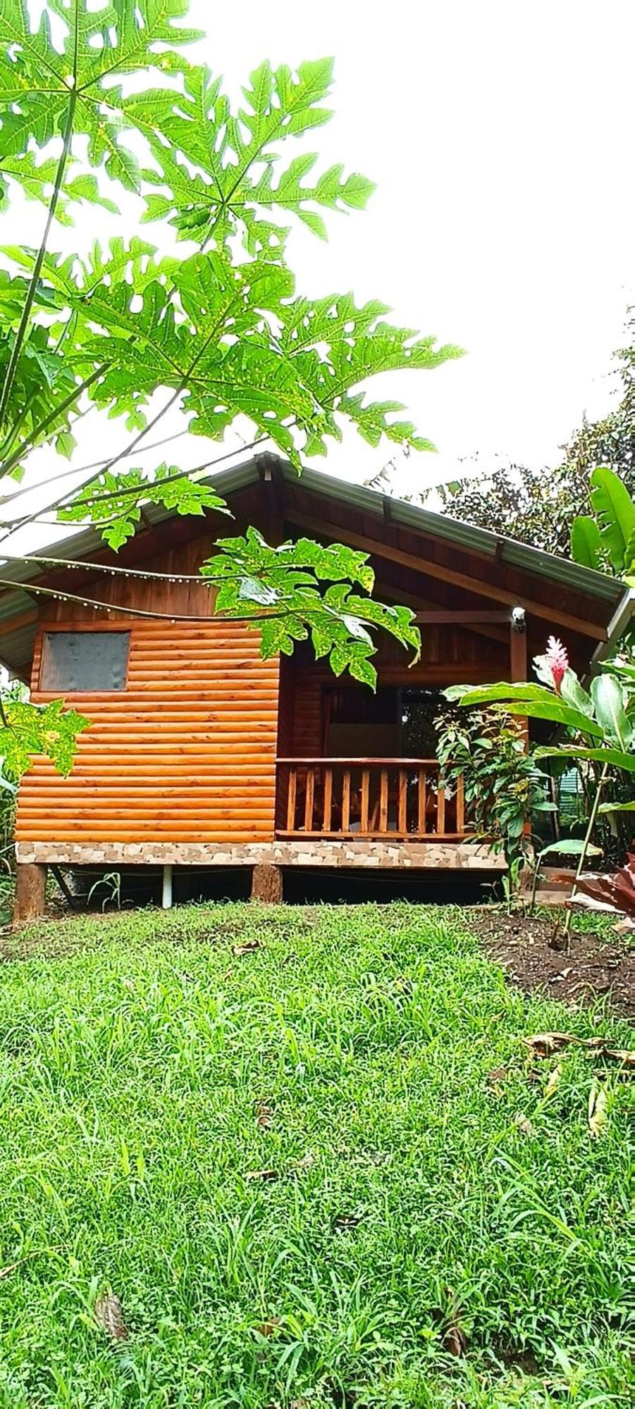 Arenal Rustic Lodge La Fortuna Zewnętrze zdjęcie