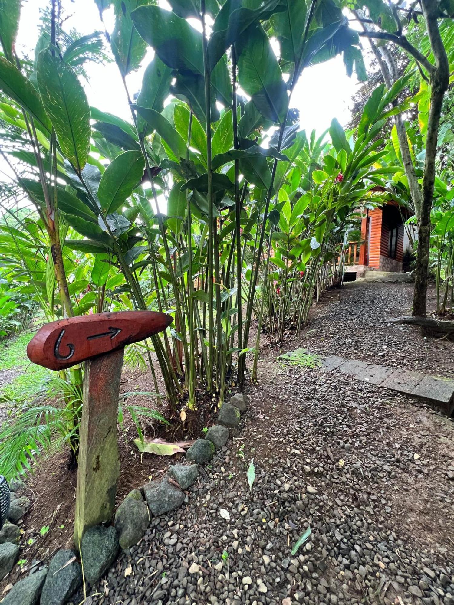 Arenal Rustic Lodge La Fortuna Zewnętrze zdjęcie