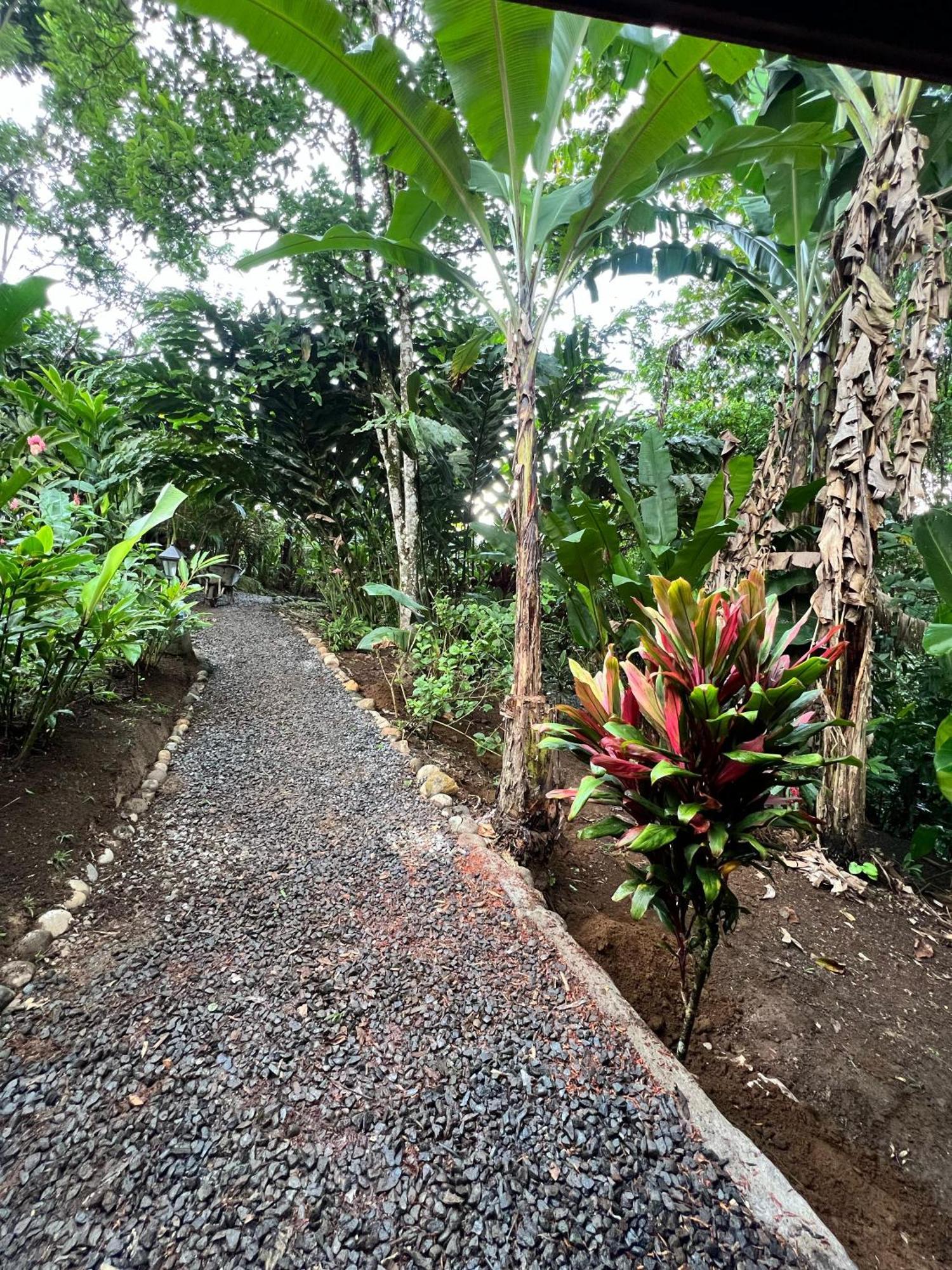 Arenal Rustic Lodge La Fortuna Zewnętrze zdjęcie